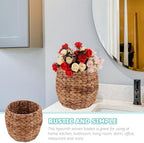 Healeved 10inch Seagrass Plant Basket Indoor Planter Basket Sundries Storage Woven Seagrass Wicker Planter Flower Pot - Image 2