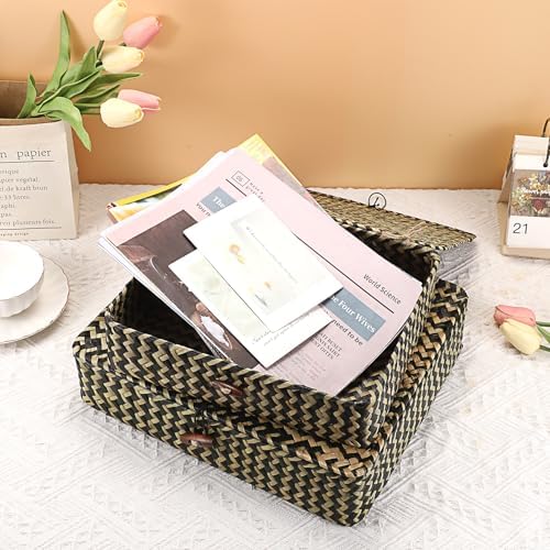 Hipiwe 2Pcs Flat Wicker Woven Basket with Lid Natural Seagrass Storage Box - Image 4