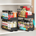 iSPECLE Pull Out Spice Rack - 2 Pack Spice Organization for Cabinet by iSPECLE