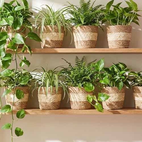AceOrbit 12 Pcs Wicker Plant Basket Bulk with Liners Woven Planter Baskets Bulk for Indoor Outdoor Seagrass Plants Woven Wicker Baskets for Flower Pots Cover and Room Decor (Small,Bohemian) - Image 2
