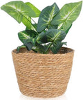 Beavorty Woven Flower Basket Seagrass Plant Basket with Plastic Liner Indoor Woven Plant Pot for Flowers Succulents Home Office Garden Decor 9.84 X 7.48 X 7.48 in by Beavorty