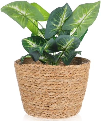 Beavorty Woven Flower Basket Seagrass Plant Basket with Plastic Liner Indoor Woven Plant Pot for Flowers Succulents Home Office Garden Decor 9.84 X 7.48 X 7.48 in by Beavorty