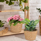 Beavorty Woven Flower Basket Seagrass Plant Basket with Plastic Liner Indoor Woven Plant Pot for Flowers Succulents Home Office Garden Decor 9.84 X 7.48 X 7.48 in - Image 5