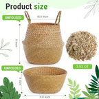 Knitgrip Large Wicker Plant Basket with Handle 10 Inch Woven Seagrass Belly Basket and Artificial Moss for House Plants Picnic Grocery Laundry Storage Home Decor(Large,Original,1 Pack) - Image 2