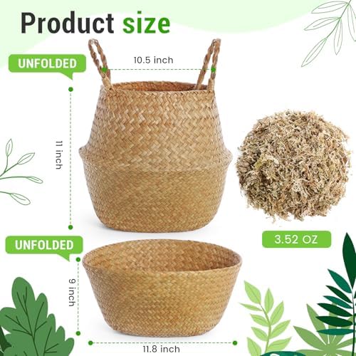 Knitgrip Large Wicker Plant Basket with Handle 10 Inch Woven Seagrass Belly Basket and Artificial Moss for House Plants Picnic Grocery Laundry Storage Home Decor(Large,Original,1 Pack) - Image 2