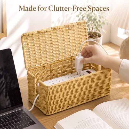 Novabright Rattan Cable Management Box with Scalloped Lid, Natural - Image 4