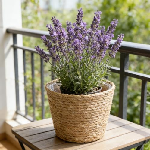 FOMIYES Home Decor Woven Straw Flower Pot Seagrass Planters Basket Garden Plant Pot Containers Wicker Rattan Vase Sundries Organizer Storage Bins for Indoor Outdoor Plants Vintage Decor - Image 5