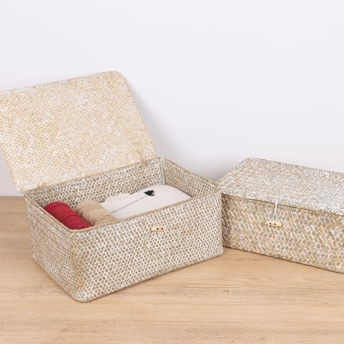 FEIALNDUO Wicker Shelf Baskets with Lid,Seagrass Storage Basket Bins Rectangular Handwoven Basket Boxes for Shelves Desktop Home Organizer (Whitewash, Large) - Image 6