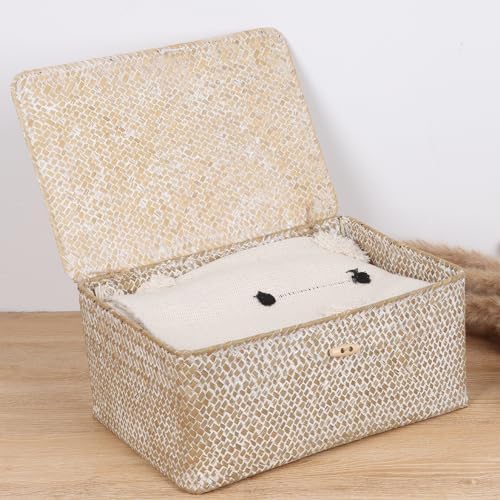 FEIALNDUO Wicker Shelf Baskets with Lid,Seagrass Storage Basket Bins Rectangular Handwoven Basket Boxes for Shelves Desktop Home Organizer (Whitewash, Large) - Image 2