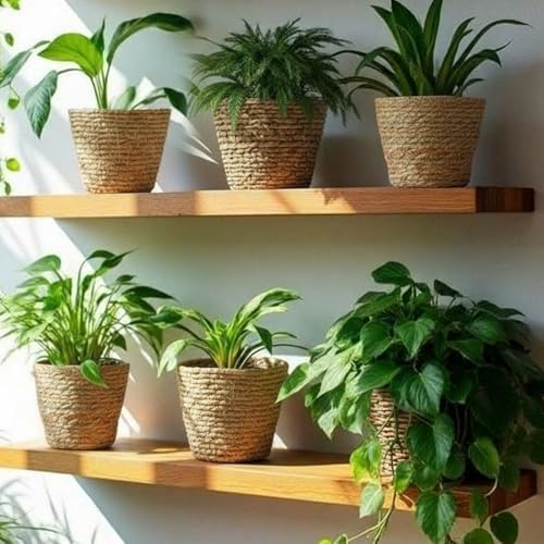 AceOrbit 12 Pcs Wicker Plant Basket Bulk with Liners Woven Planter Baskets Bulk for Indoor Outdoor Seagrass Plants Woven Wicker Baskets for Flower Pots Cover and Room Decor (Small,Rustic) - Image 2