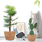 Seagrass Planter Basket Stylish Planter Baskets, Set of 4 - Image 7