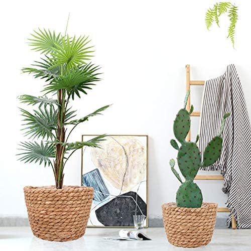 Seagrass Planter Basket Stylish Planter Baskets, Set of 4 - Image 7