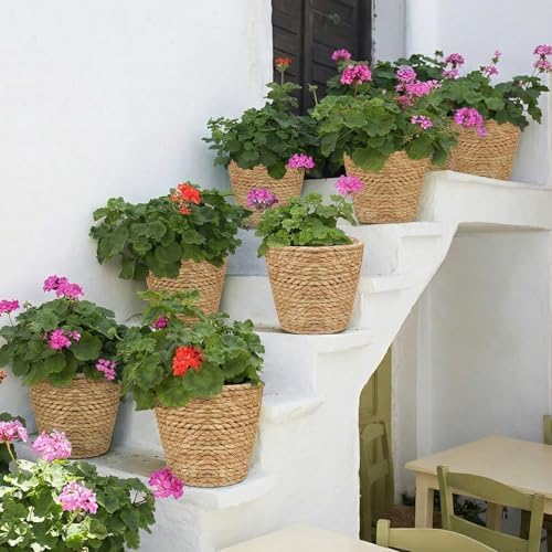 4Pcs Premium Seagrass Planter Baskets Plastic Liner Mid Plant Basket Woven - Image 5