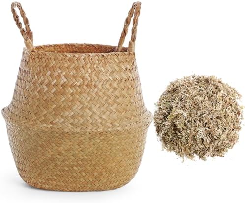 Knitgrip Large Wicker Plant Basket with Handle 10 Inch Woven Seagrass Belly Basket and Artificial Moss for House Plants Picnic Grocery Laundry Storage Home Decor(Large,Original,1 Pack) by Knitgrip
