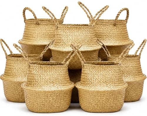 Qunclay 12 Pcs Woven Seagrass Baskets Belly Basket, L,13''dx11''h by Qunclay