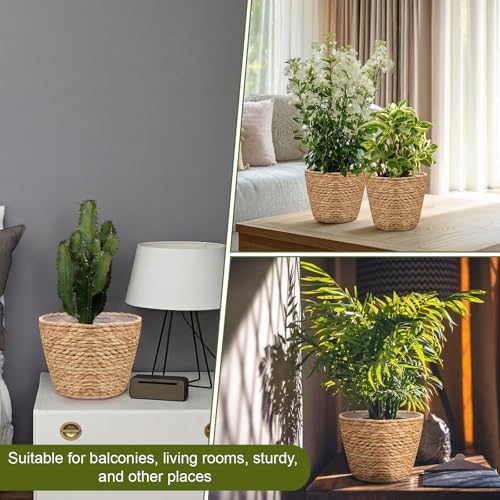 4Pcs Premium Seagrass Planter Baskets Plastic Liner Mid Plant Basket Woven - Image 7