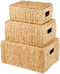 84ECO Set of 3 Wicker Baskets with Lid - Woven Storage Basket with Lid - Decorative Storage Boxes for Bathroom, Bedroom and Shelves by 84ECO