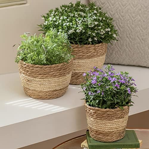 LA JOLIE MUSE Seagrass Basket Planters for Indoor Plants, Flower Pot 3 Pack - Image 3
