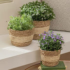 LA JOLIE MUSE Seagrass Basket Planters for Indoor Plants, Flower Pot 3 Pack - Image 3