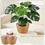 2PCS Seagrass Plant Basket for Indoor and Outdoor,Wicker Planter Basket with Liner for 6 inch Pot,Small Plant Pot Covers for Potted Plants,Rattan Storage Baskets for Rustic Boho Farmhouse Decor - Image 5
