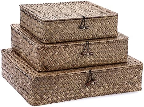 Hipiwe Set of 3 Flat Wicker Basket Bins with Lid - Handwoven Seagrass Boxes by Hipiwe