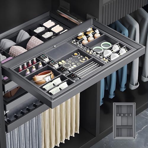 Luxury Pull Out Jewelry Organizer for Closet - Premium Lychee Leather Lined Jewelry Tray with Dividers for Watches, Rings & Necklaces, Adjustable Width Modular Wardrobe Storage by Unknown