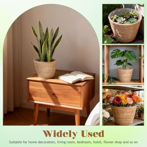IMIKEYA 2-Pack Seagrass Plant Baskets with Plastic Liners, 9 Inch - Image 3