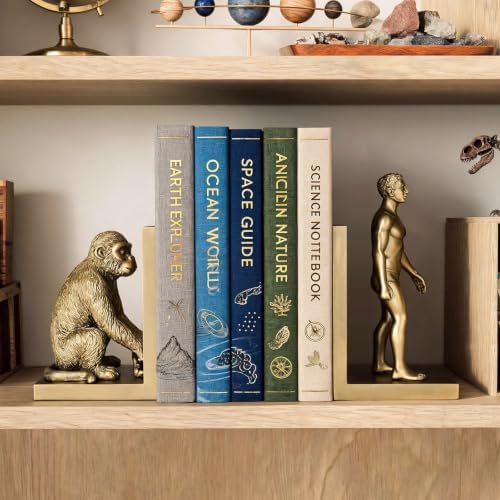 Gold Evolution Book Ends, Monkey to Man Bookends for Heavy Books - Image 6