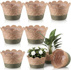 AceOrbit 6 Pcs Scalloped Seagrass Plant Basket, Medium, Brown and Green by Unknown