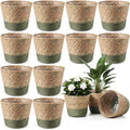AceOrbit 12 Pcs Wicker Plant Basket Bulk with Liners Woven Planter Baskets Bulk for Indoor Outdoor Seagrass Plants Woven Wicker Baskets for Flower Pots Cover and Room Decor (Small,Farmhouse) by Unknown