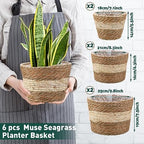 Mumufy 6 Pcs Seagrass Planter Basket Hand Woven Flower Pot Cover, Novel - Image 2