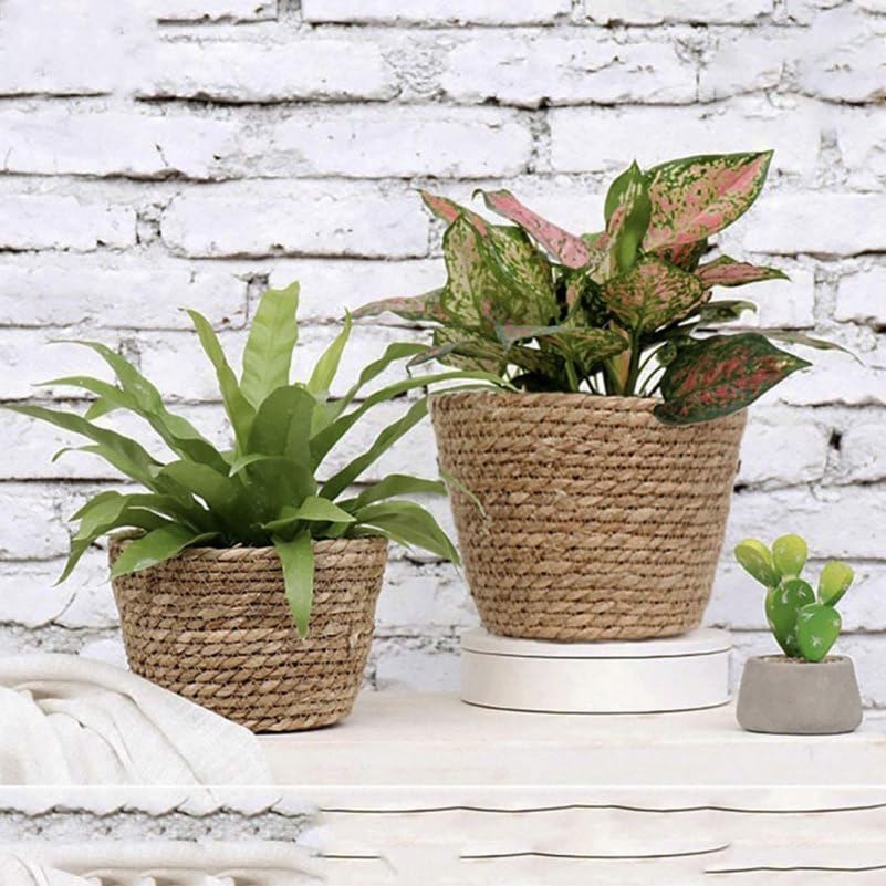 Healeved Hand Woven Planter Basket with Liner Rustic Straw Flower Pot for Indoor Outdoor Plants Balcony Living Room Decor 7.8X9.75X7.8 Inches - Image 5