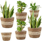 Mumufy 6 Pcs Seagrass Planter Basket Hand Woven Flower Pot Cover, Novel by Mumufy