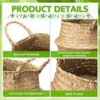 Qunclay 4 Pcs Woven Seagrass Baskets Belly Basket, M,18.46''dx8.66''h - Image 4