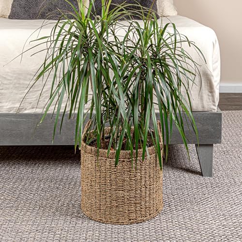 Household Essentials Round Seagrass Basket with Handles, Natural - Image 6