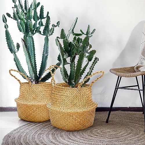 Qunclay 4 Pcs Woven Seagrass Baskets Belly Basket, L,13''dx11''h - Image 5