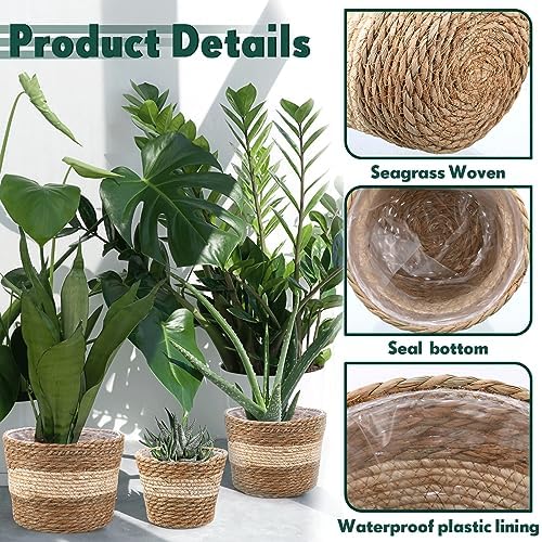 Mumufy 6 Pcs Seagrass Planter Basket Hand Woven Flower Pot Cover, Novel - Image 3