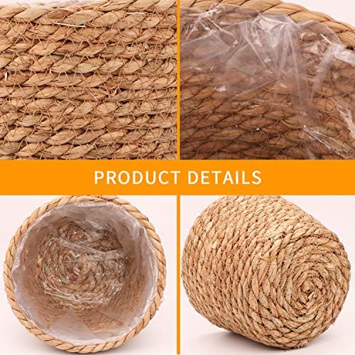 Seagrass Planter Basket Stylish Planter Baskets, Set of 4 - Image 3