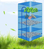 Hwayslon Hanging Drying Net Foldable Drying Rack Net Dryer 19.7"x19.7"x37.4" 6 Layer Folding Fish Mesh Collapsible Dry Net with Zippers for Fish Vegetables Drying Seeds Fruit Herb - Image 5